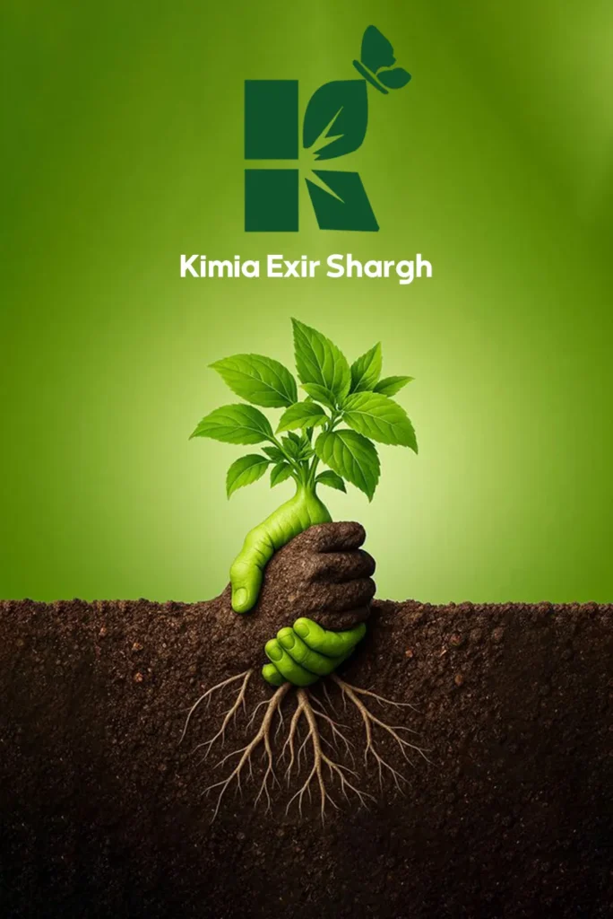 Brand Development of Kimia Exir Shargh Holding